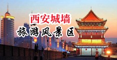 看鸡巴叼嘿,视频免费中国陕西-西安城墙旅游风景区